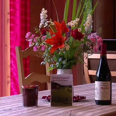 Dom wakacyjny Des Conquettes *